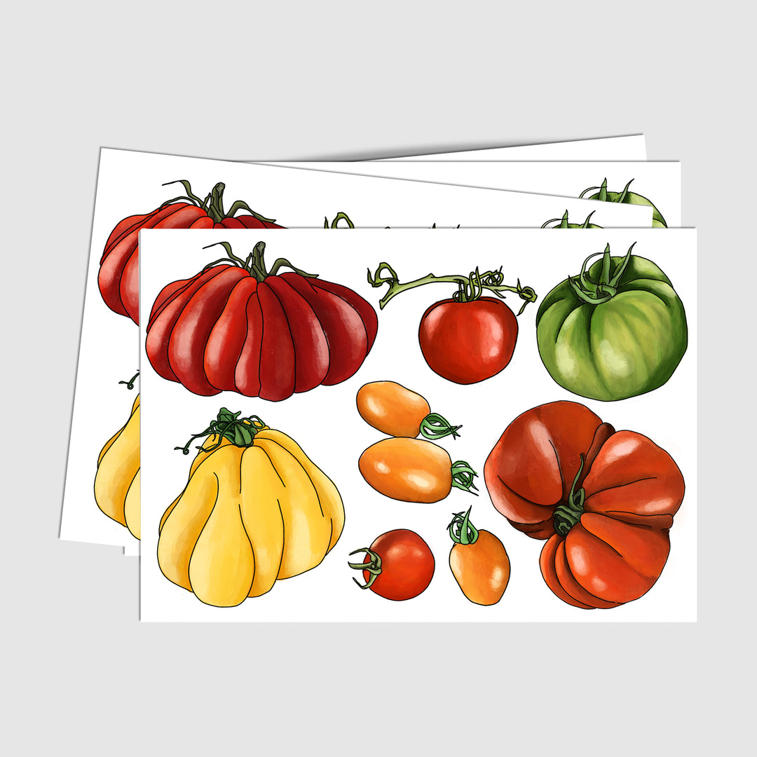 Tomato Postcard Pack